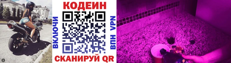 Кодеиновый сироп Lean Purple Drank  Ленинградская 