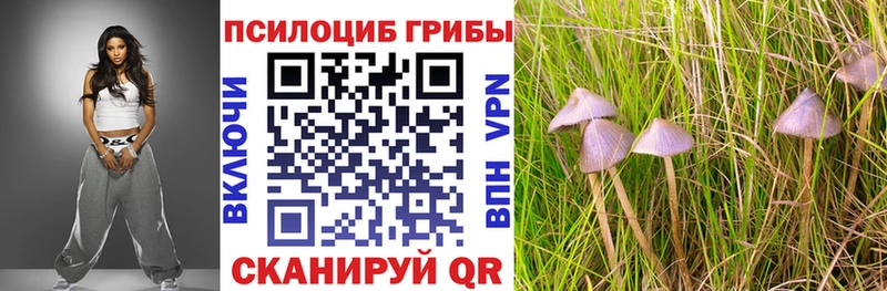 гидра ссылки  Ленинградская  shop состав  Псилоцибиновые грибы прущие грибы 
